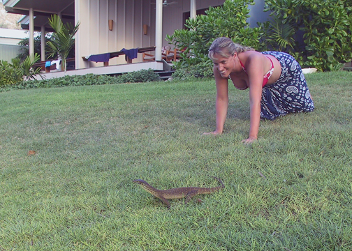 Playing With the Lizards