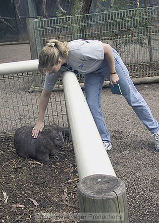Edie Petting a Wombat