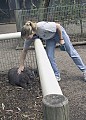 Edie Petting a Wombat