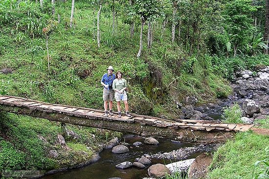 A bridge across a stream we crossed while walking around the Chaga village area<br />near the Capricorn Hotel.